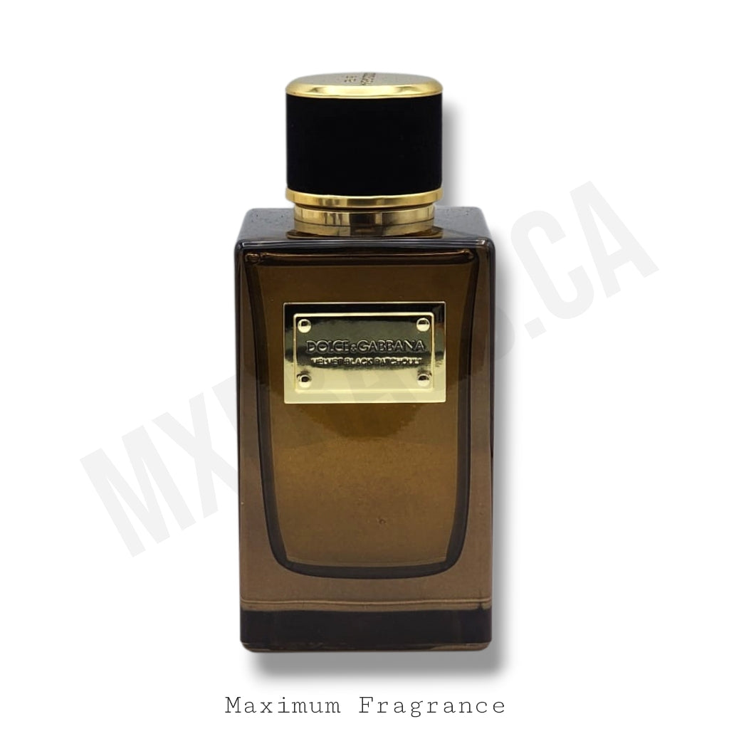 Dolce & Gabbana Velvet Black Patchouli
