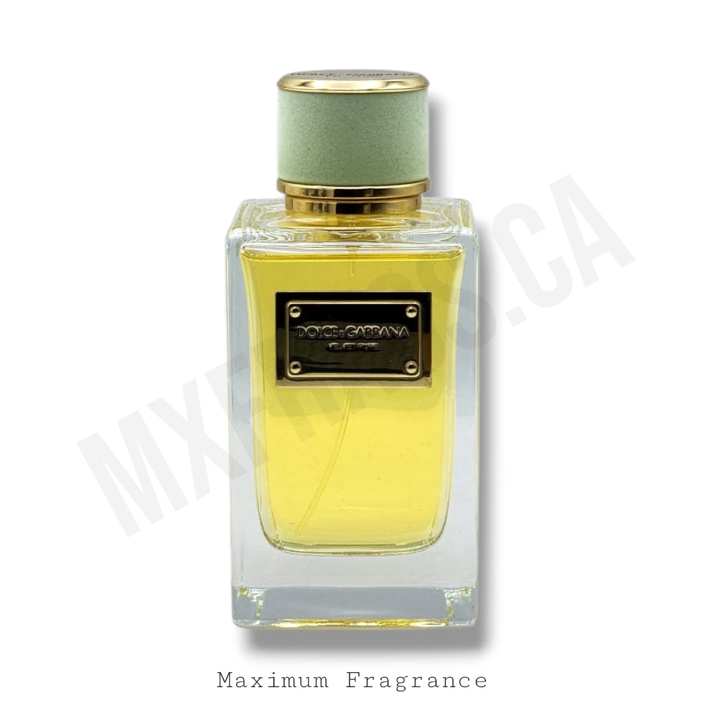 Dolce & Gabbana Velvet Pure