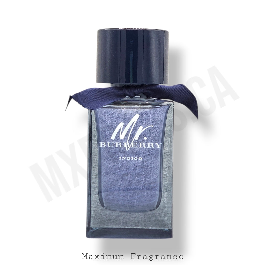 Mr. Burberry Indigo