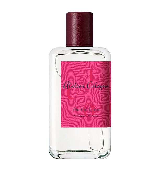 Pacific Lime - Maximum Fragrance