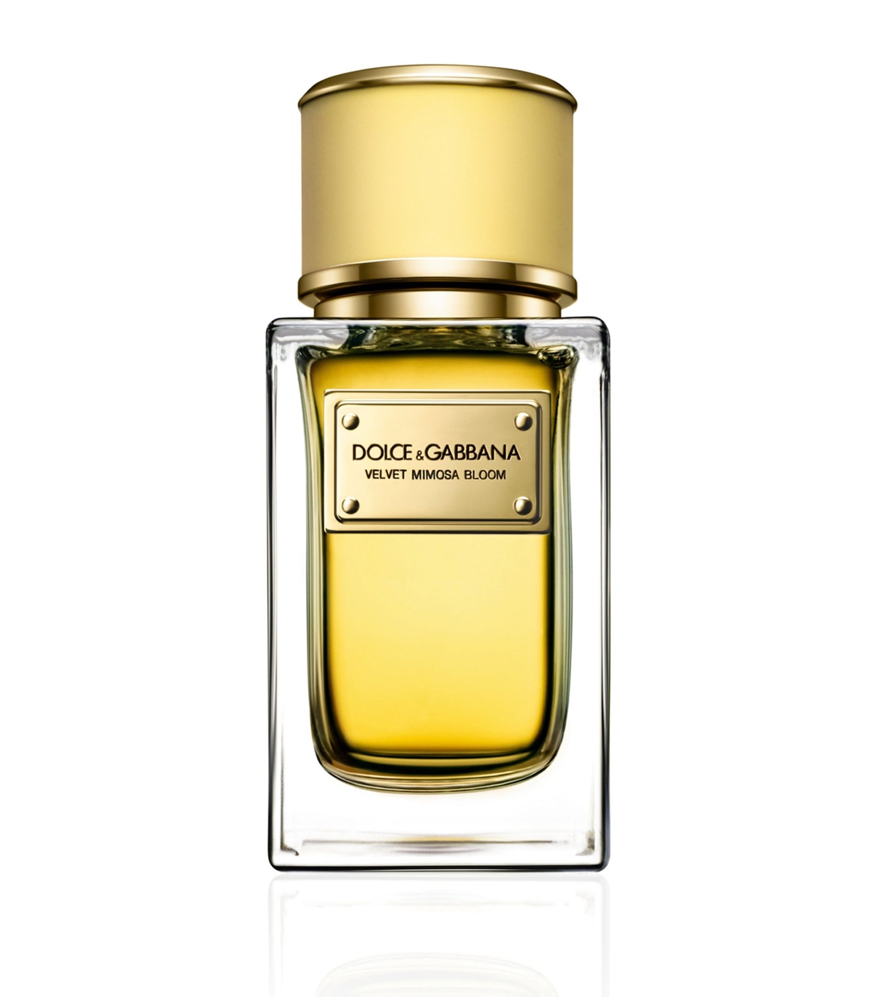 Velvet Mimosa Bloom - Maximum Fragrance